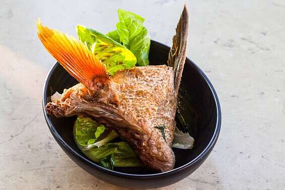 נחשב למעדן. כנף לוקוס // צילום: איתיאל ציון